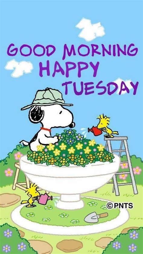 Find Funny GIFs, Cute GIFs, Reaction GIFs and more. . Good morning tuesday snoopy